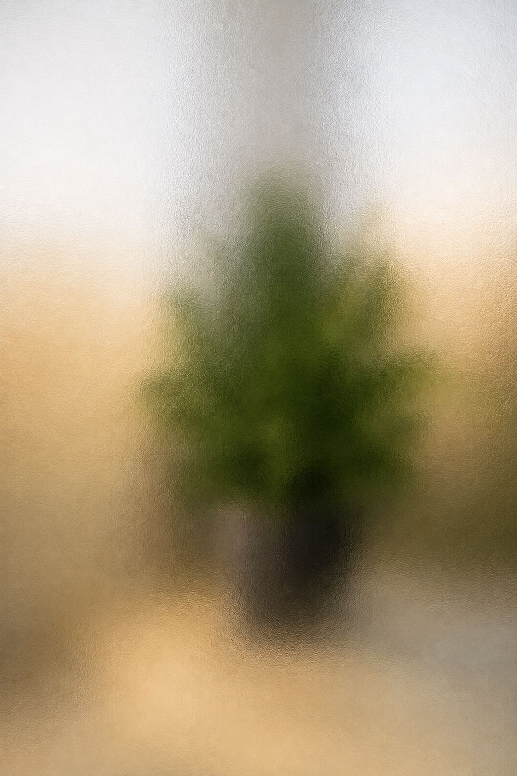 Frosted Glass